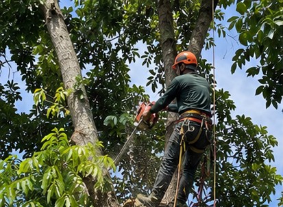 Big Cleaning ปลายปี เตรียมบ้านต้อนรับปีใหม่